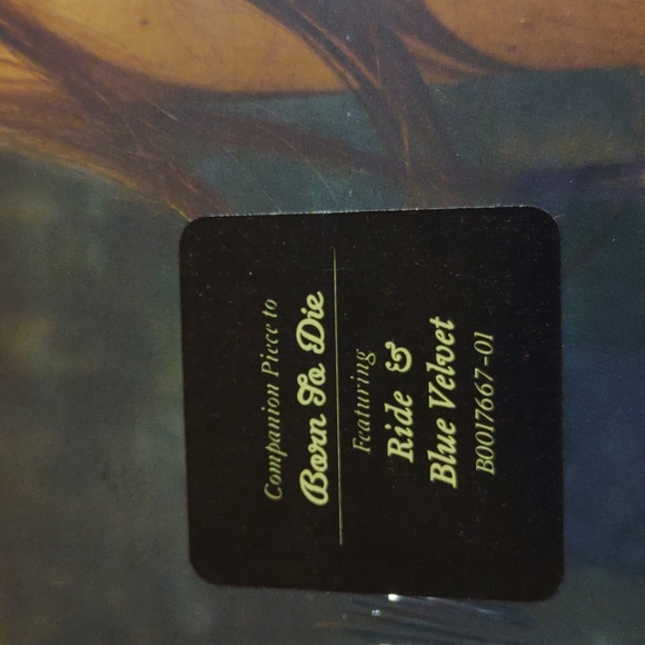 Lana Del Rey Vinyl LP Record - Picture 6 of 7